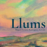 Llums Llums